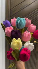 Tulip Flowers qandeelofficial