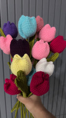 Tulip Flowers qandeelofficial